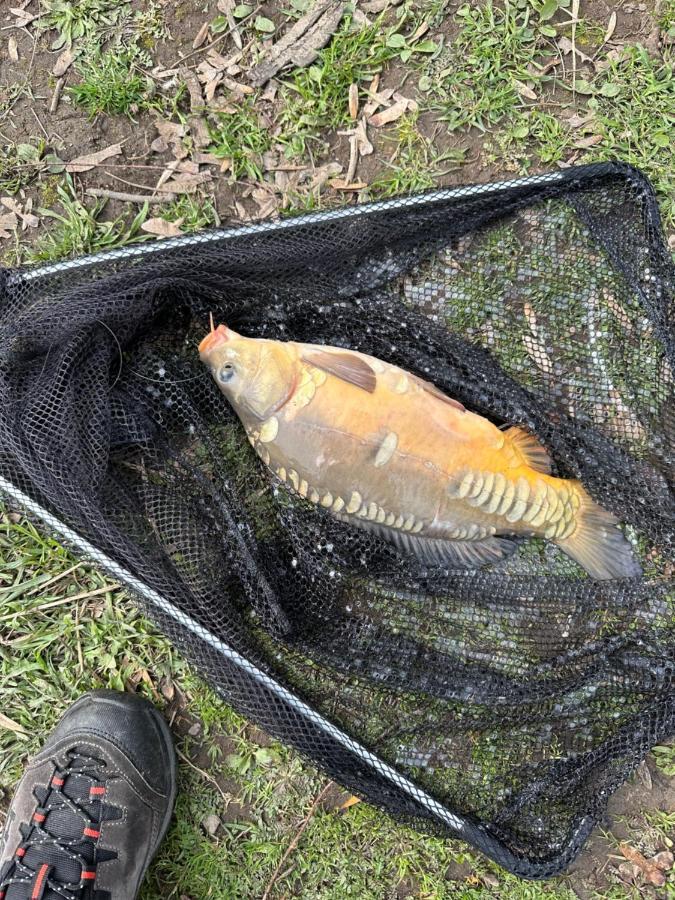 Zouw Hausboat Zakotven -Pouze Ubytovani Roudnice nad Labem Buitenkant foto